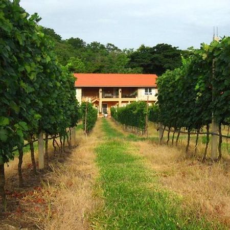 Granmonte Wine Cottage Phayayen المظهر الخارجي الصورة