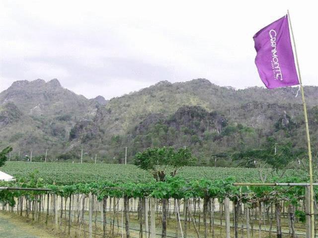 Granmonte Wine Cottage Phayayen المظهر الخارجي الصورة