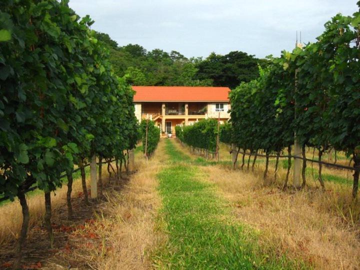 Granmonte Wine Cottage Phayayen المظهر الخارجي الصورة