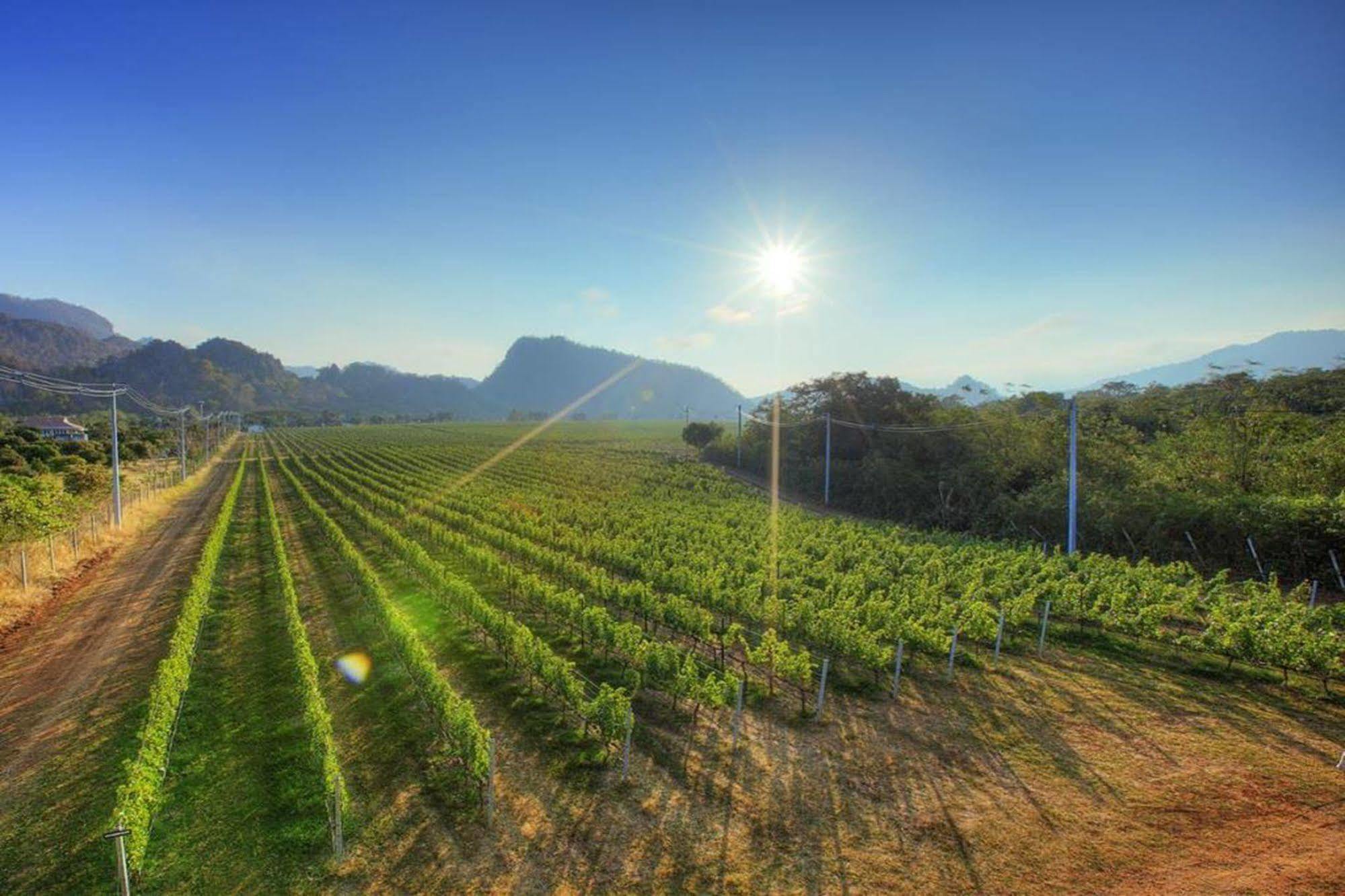 Granmonte Wine Cottage Phayayen المظهر الخارجي الصورة