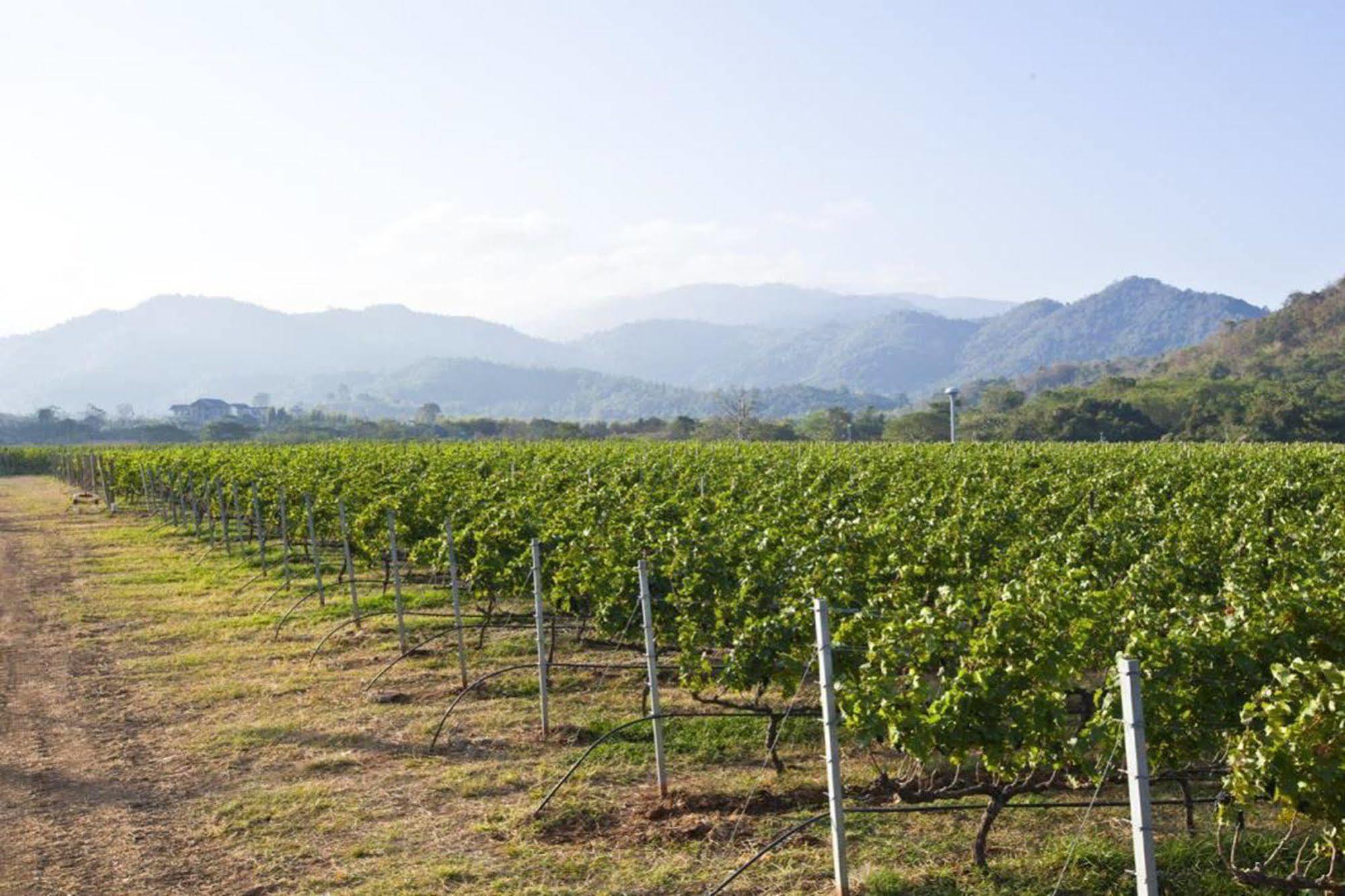 Granmonte Wine Cottage Phayayen المظهر الخارجي الصورة