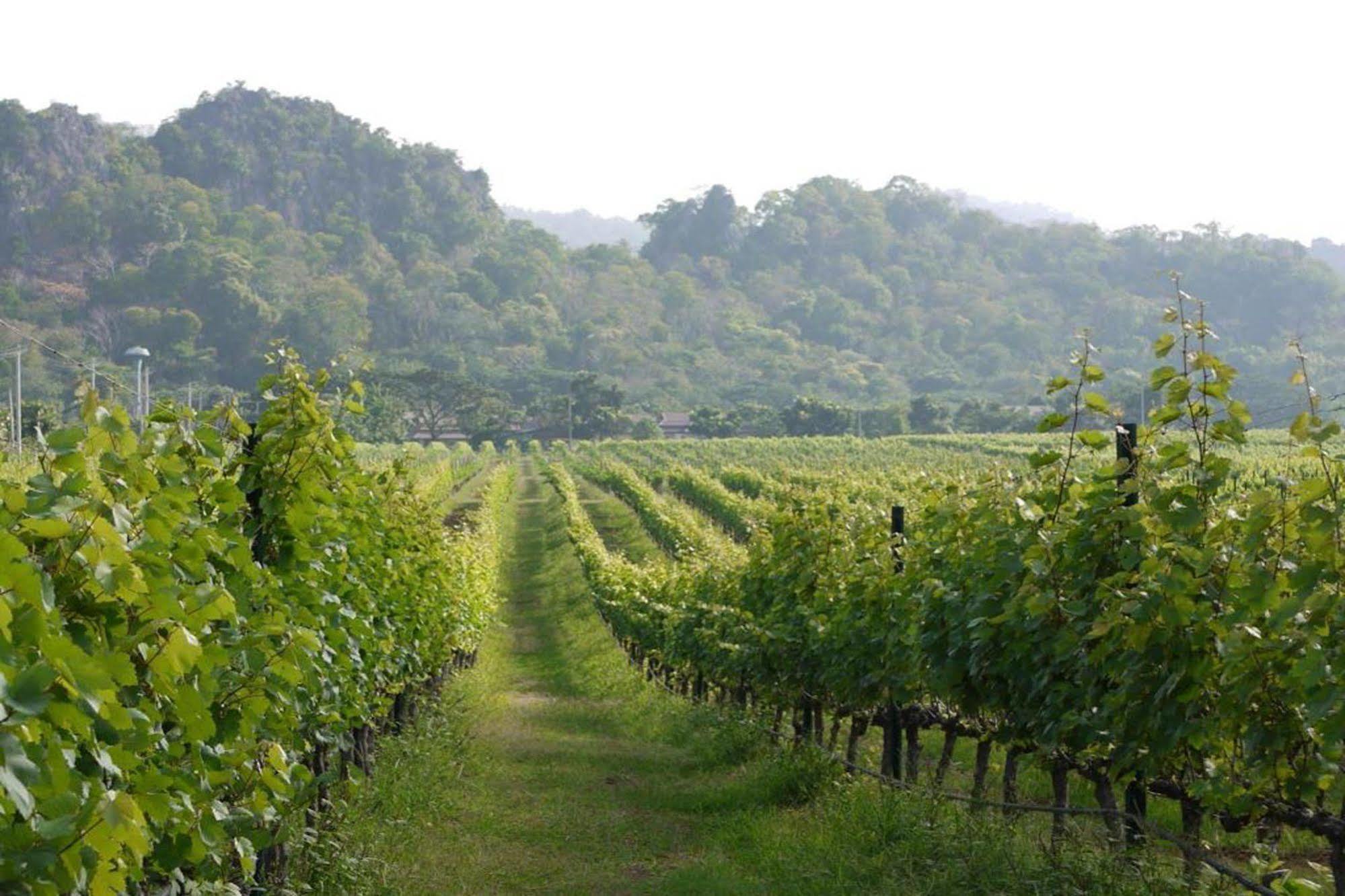 Granmonte Wine Cottage Phayayen المظهر الخارجي الصورة